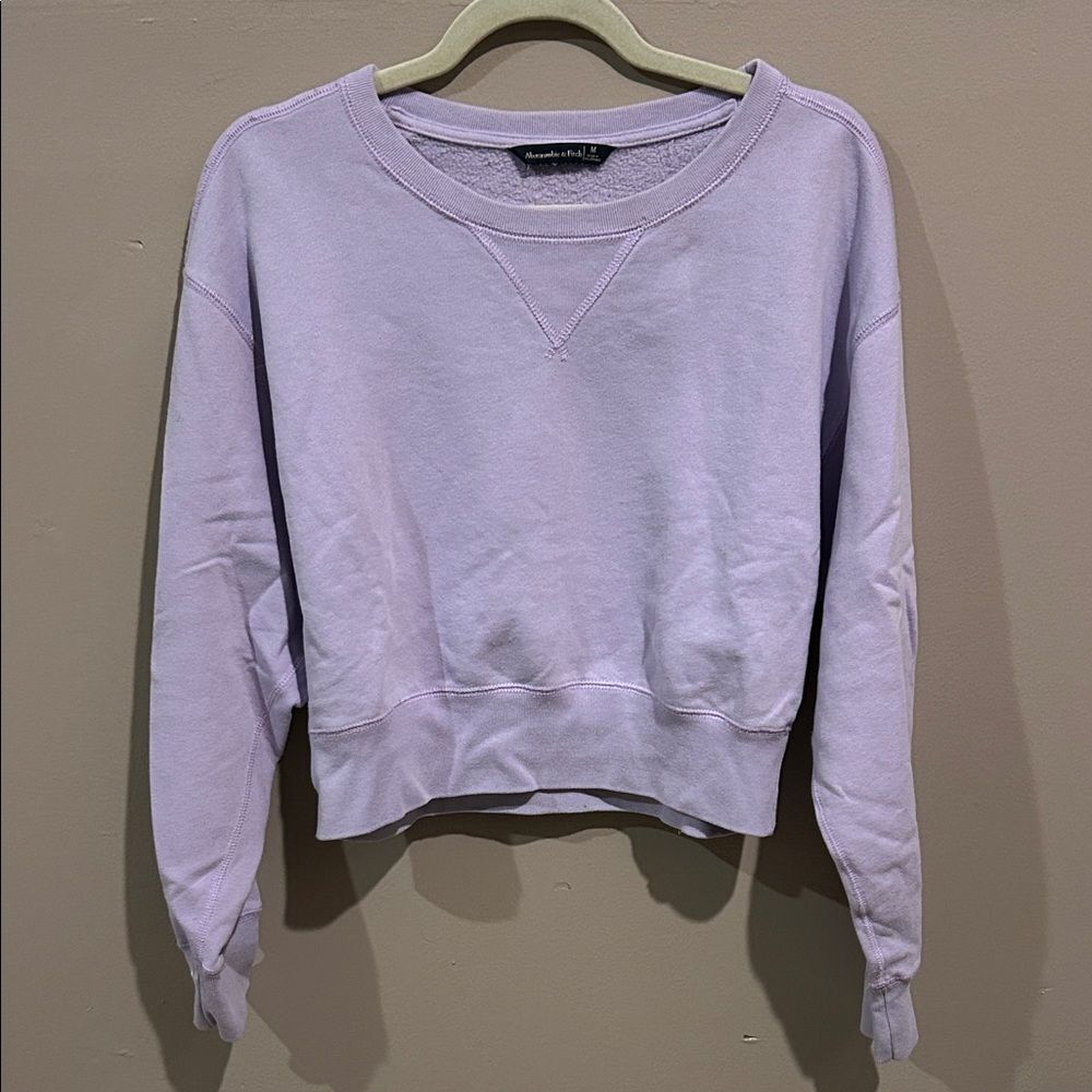Abercrombie & Fitch Light Purple Sweatshirt size M. B2
